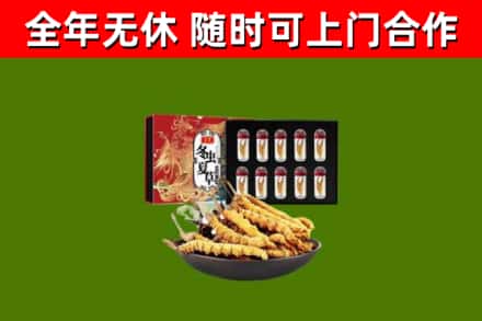 平定县回收冬虫夏草价格